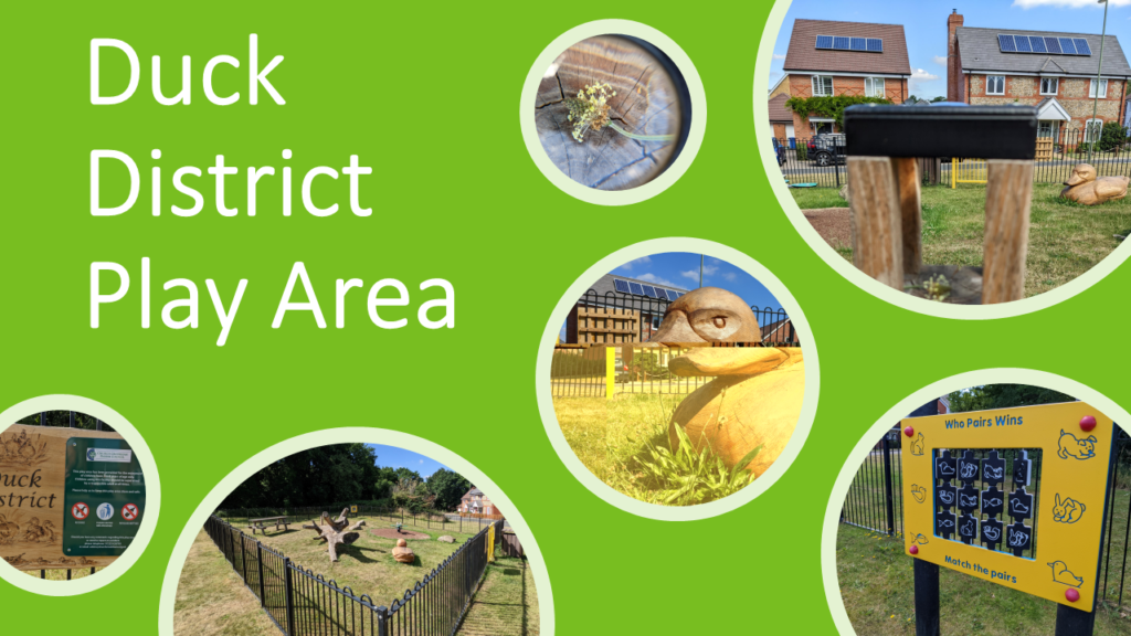 Duck district Play Area Photo