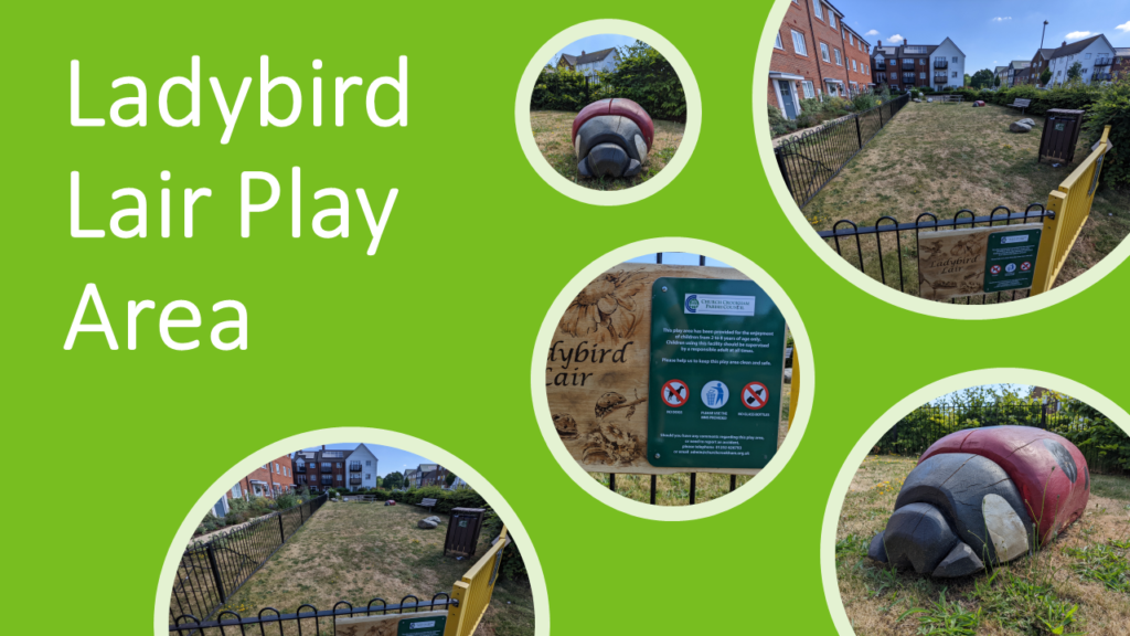 Ladybird Lair Play Area Photo