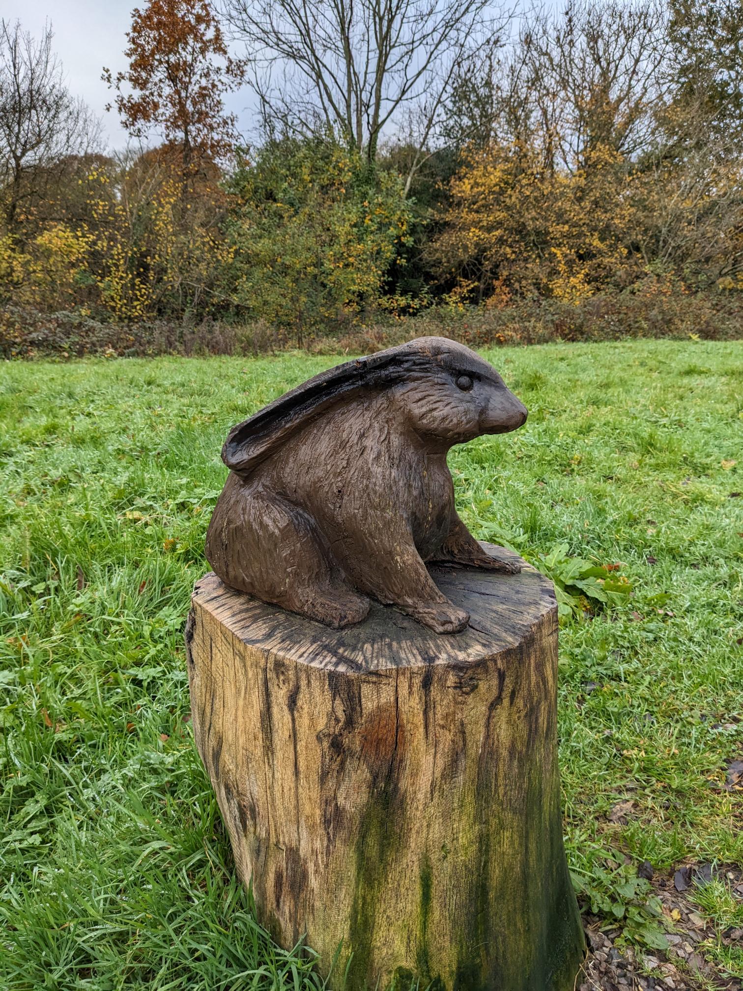 rabbit – Church Crookham Parish Council